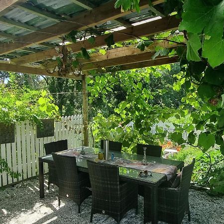 Pheasant Lodge Paparoa Esterno foto