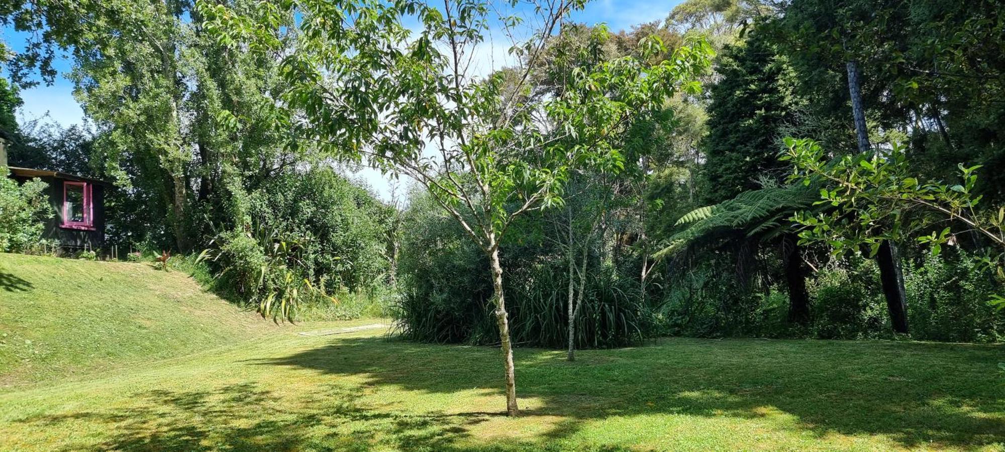 Pheasant Lodge Paparoa Esterno foto